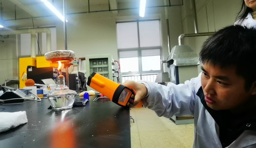 我國自主研發新型材料泡沫陶瓷 保溫還能防火