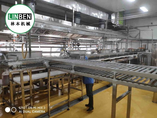 央廚設備 學生餐整套生產線